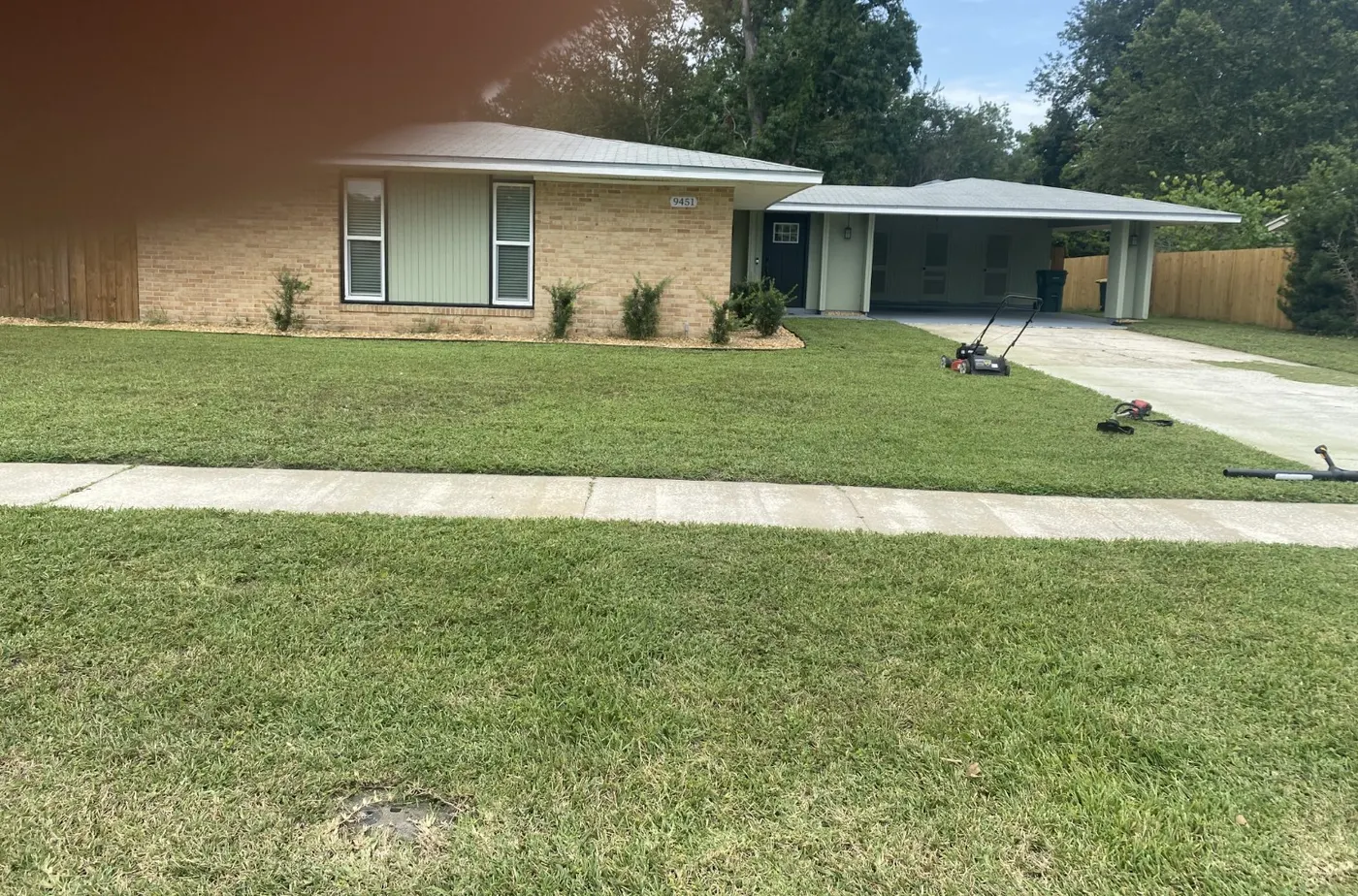 Mowed front yard
