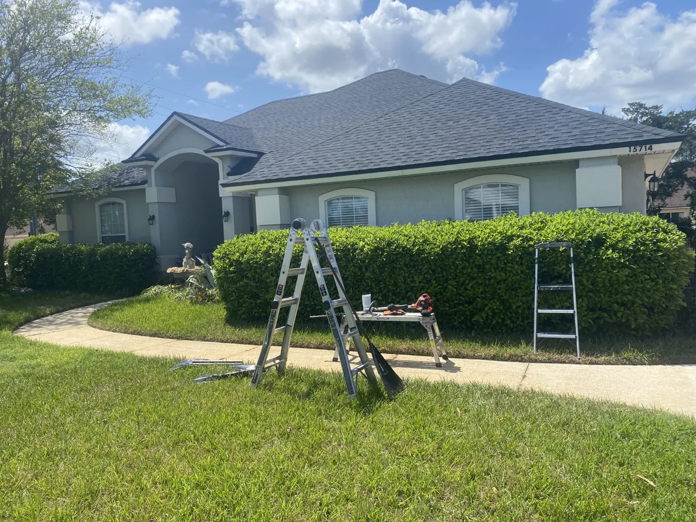 Professional hedge trimming at a Jacksonville home